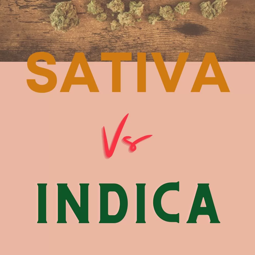 Sativa Vs Indica