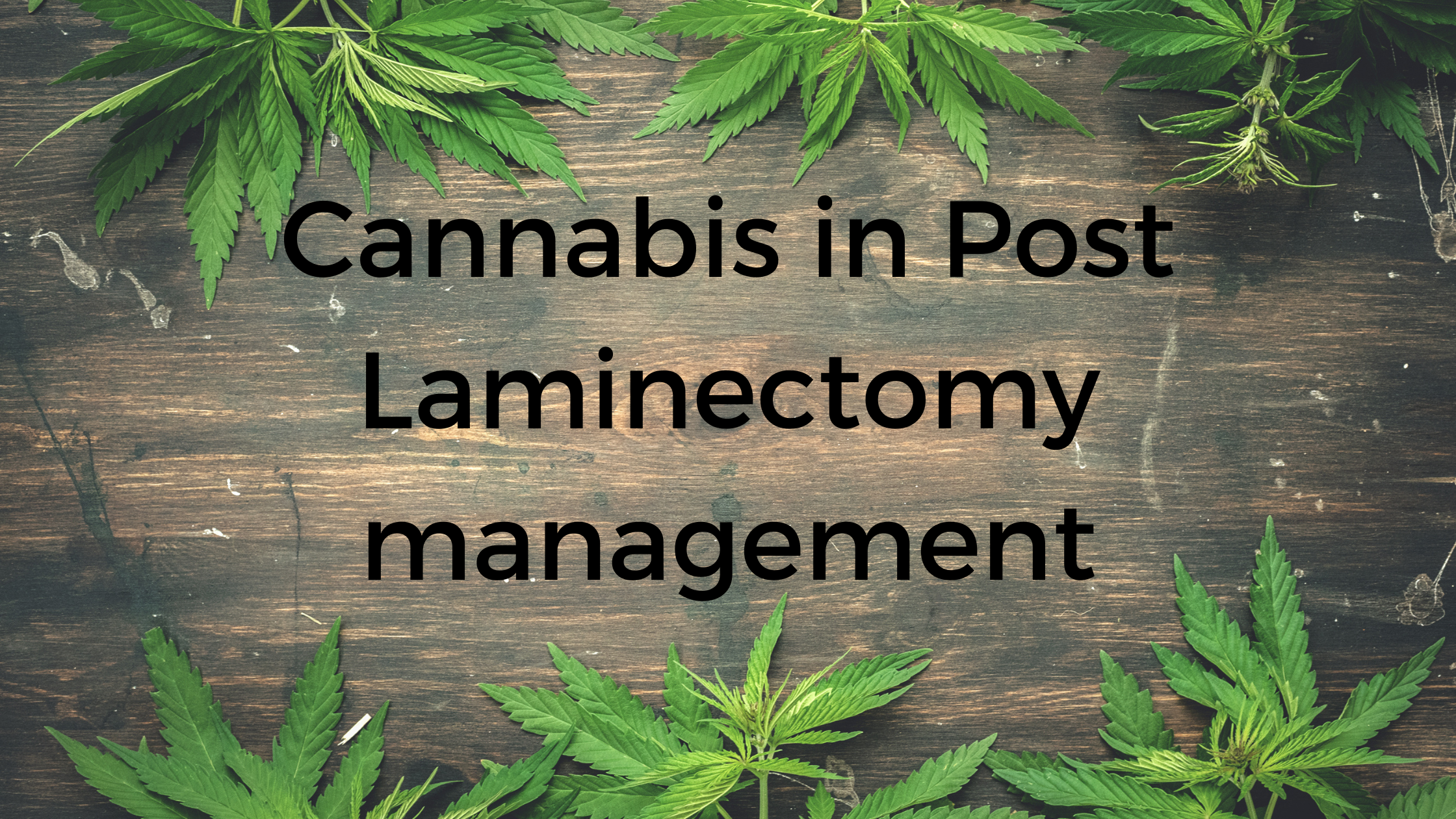Cannabis as a Potential Solution for Post-Laminectomy Syndrome: Exploring Alternative Therapies