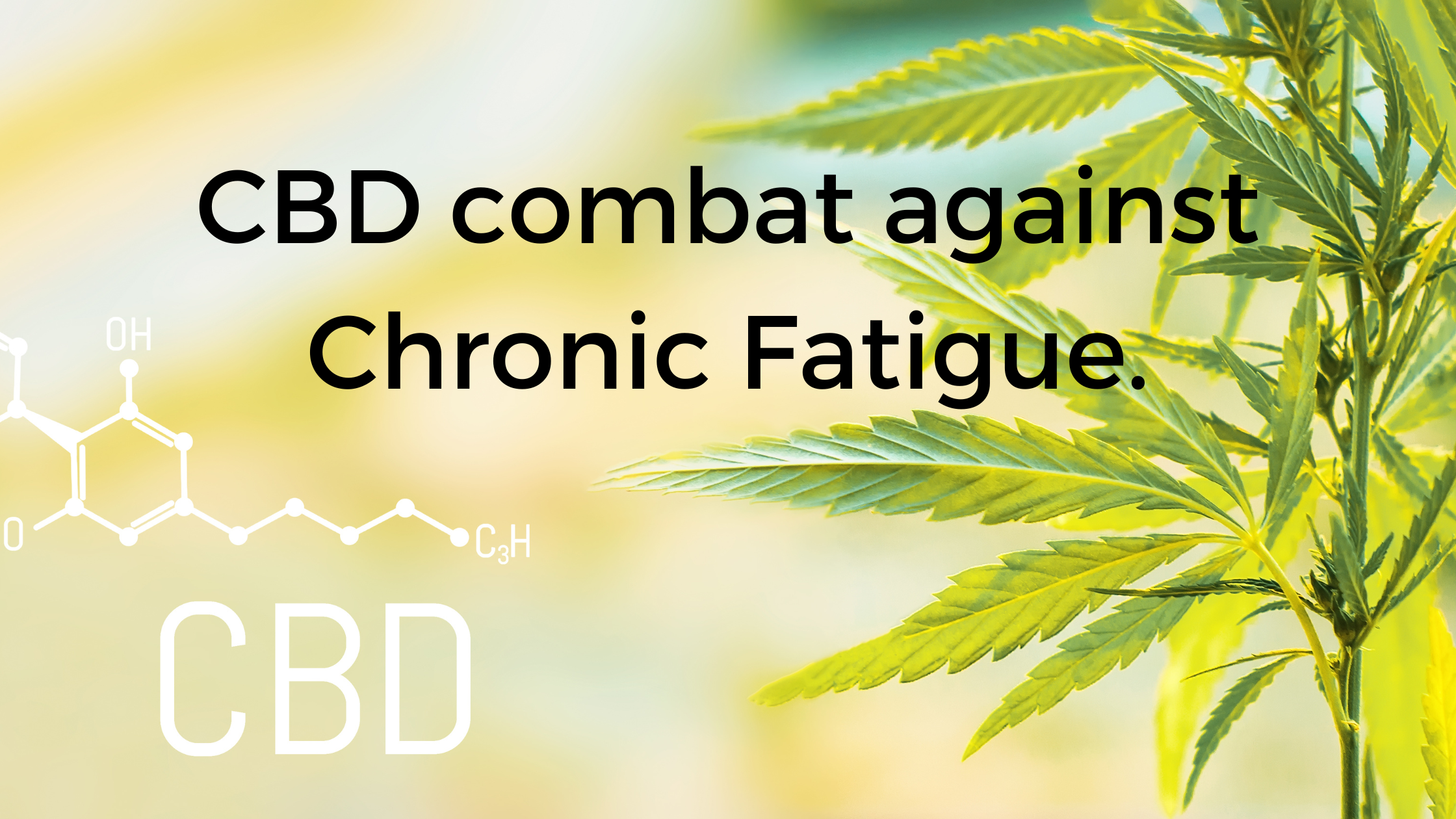 Cannabis for Managing Chronic Fatigue Syndrome.