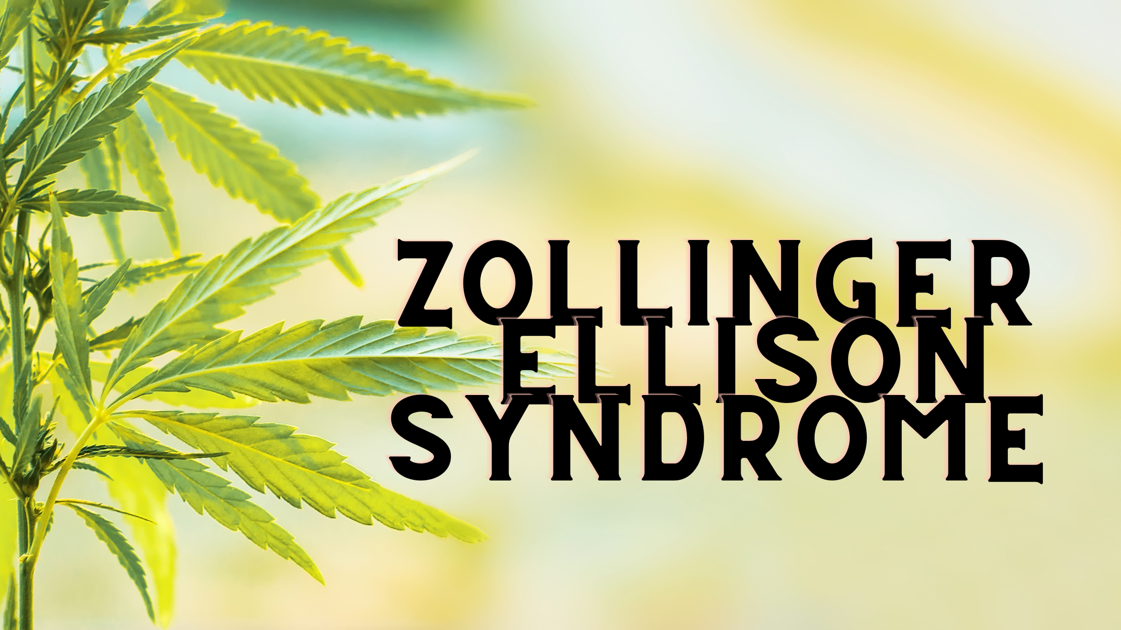 Unraveling the Potential of Cannabis Strains in the Treatment of Zollinger-Ellison Syndrome.