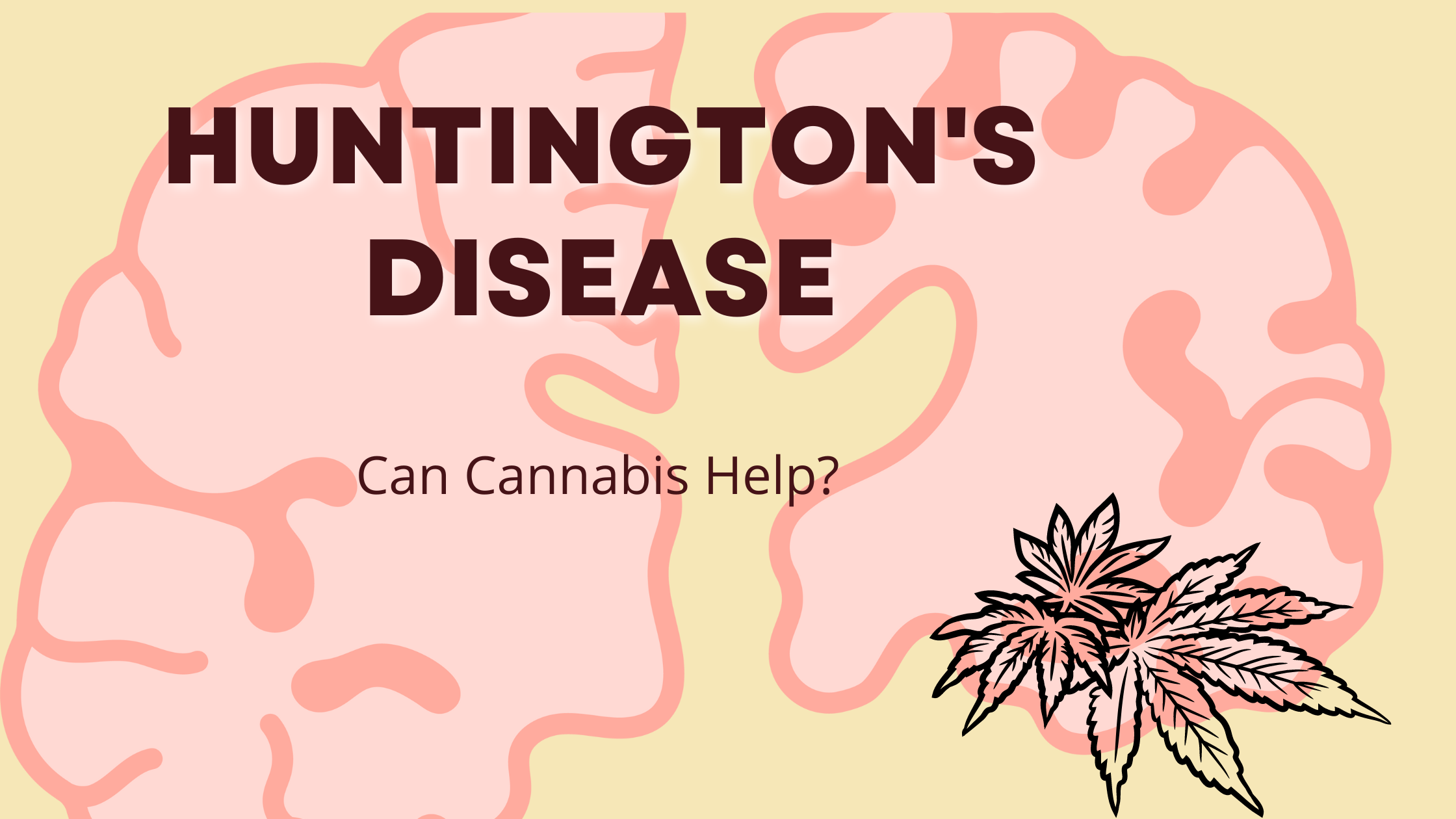 Embracing Hope: Cannabis in the Management of Huntington’s Disease.