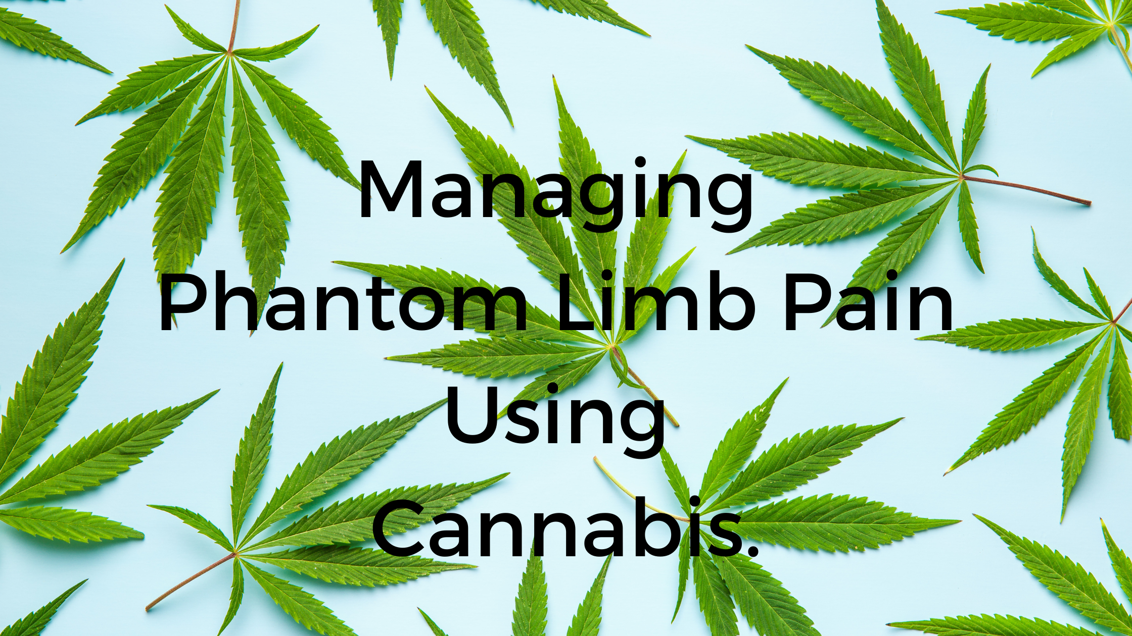 Finding Relief: Cannabis for Managing Phantom Limb Pain