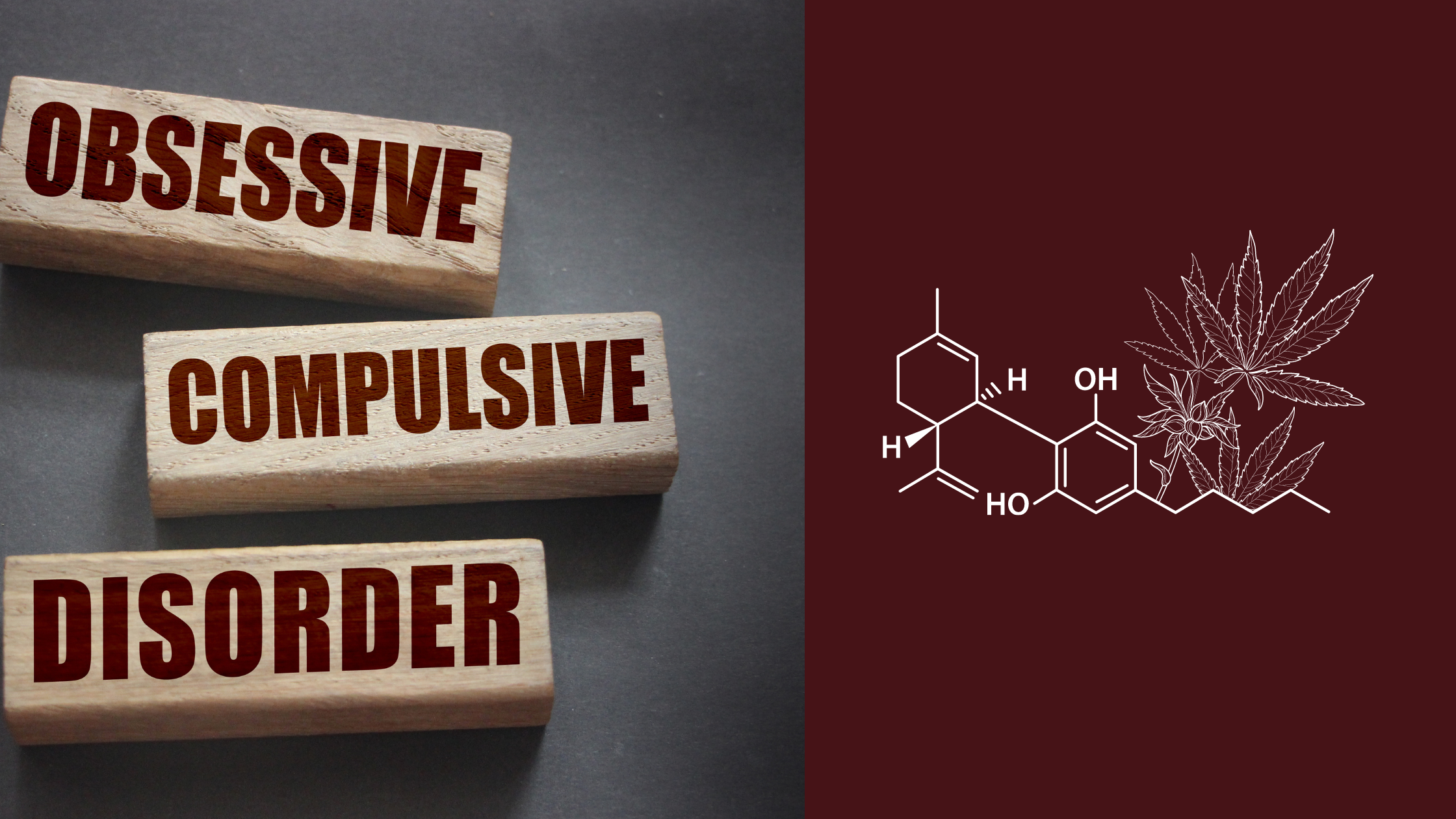 Embracing Serenity: Cannabis in the Management of Obsessive-Compulsive Disorder (OCD)