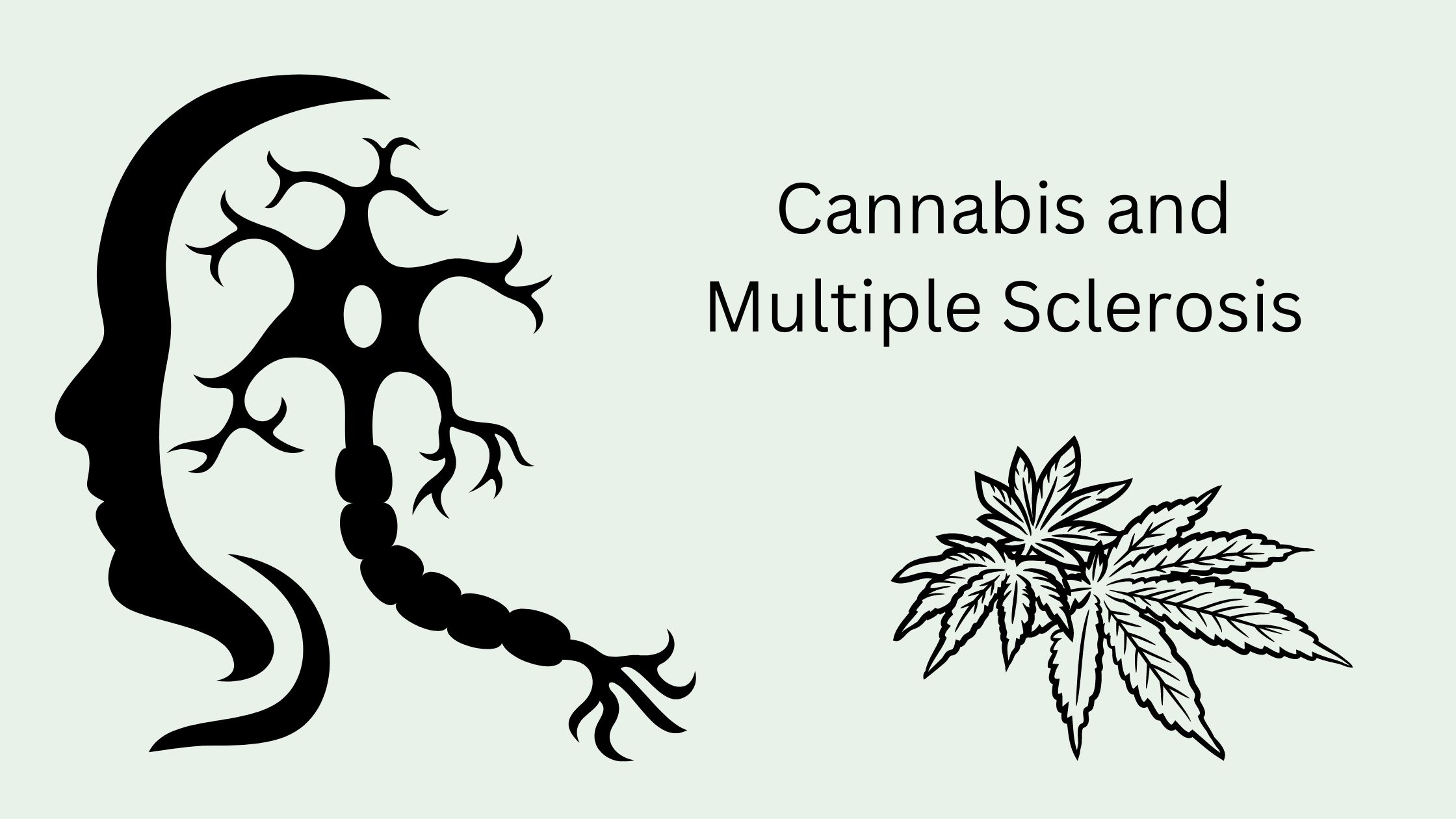 Managing Multiple Sclerosis with Medical Cannabis: An Evidence-Based Perspective.