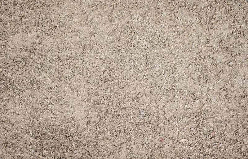 Sandy Soil